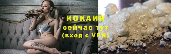 молекула духа Алексин