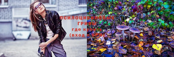 бошки Алексеевка
