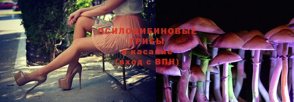 молекула духа Алексин