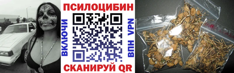где купить наркотик Дудинка Псилоцибиновые грибы Psilocybe